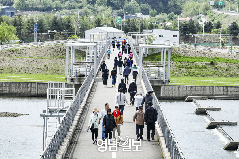 [포토뉴스] 달성 송해공원서…포항 철길숲에서…절정의 봄날 거닐다