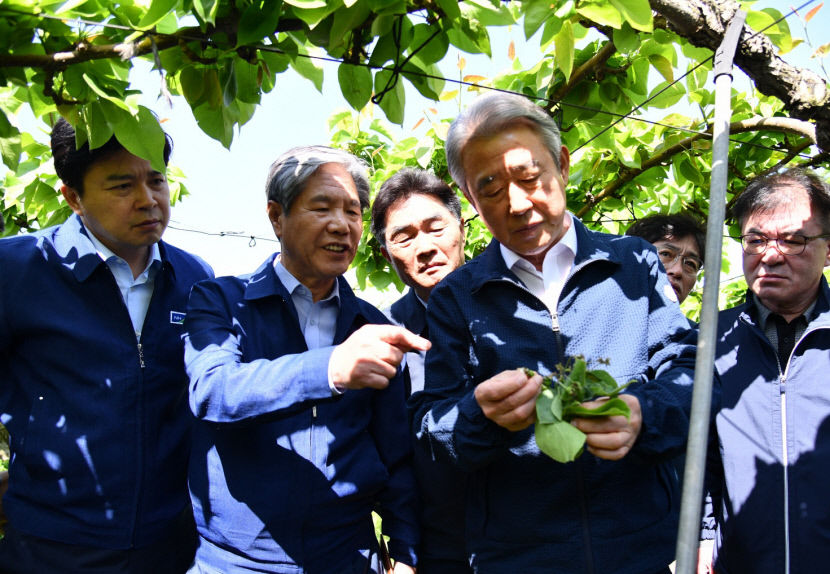 강호동 농협중앙회장 상주 방문…배 냉해 농가 지원 약속