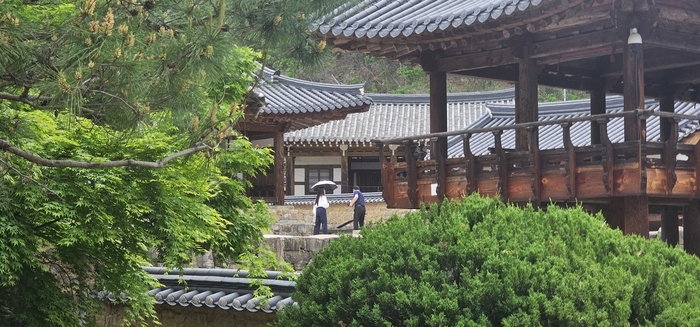 [주말, 픽] 낯선 들녘에 스며든 스크린 속 그 장소 ‘김면장군 유적지’