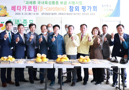 성주 이미지