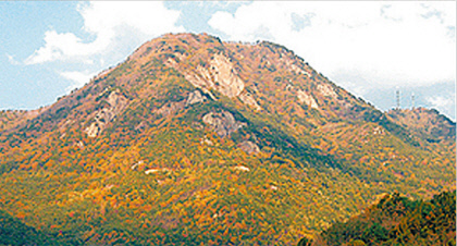 '적군이 있든 없든...' 美공군 잘못된 정보로 예천 민가 오폭...민간인 70여명 희생