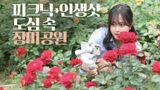 서대구역 10분 거리 인싸들 모이는 장미 포토존