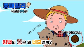 [뿡패밀리-재미있는 상식편] 세상에! 사각형 똥을 누는 동물이라니?