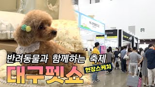 [영상뉴스] 반려동물과 함께하는 축제 대구펫쇼
