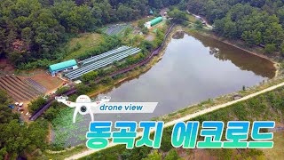[드론 뷰] 하늘에서 본 대구 동곡지 에코로드