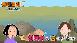 [뿡패밀리-재미있는 상식편] 거북이는 엉덩이로도 숨을 쉰다