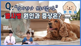 [반.전.남]
