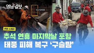 [현장스케치] 추석 연휴 마지막날 포항, 태풍 피해 복구 현장