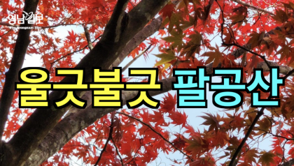 [영상뉴스]울긋불긋 '팔공산'....드라이브 코스로 인기 만점