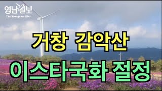 [영상뉴스] 거창 감악산 보랏빛으로 물들어...