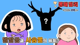 [영상툰-재미있는 상식] 말발굽과 사슴뿔의 비밀?