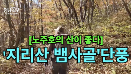 [영상뉴스] 굽이 굽이 가을 색으로 물든 '지리산 뱀사골'