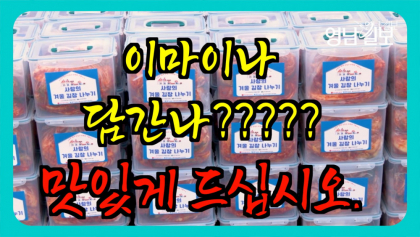 [영상뉴스] 동구청 '맛있게 드세요' ... 한국인의 건강 지키미 '김장담그기' 행사