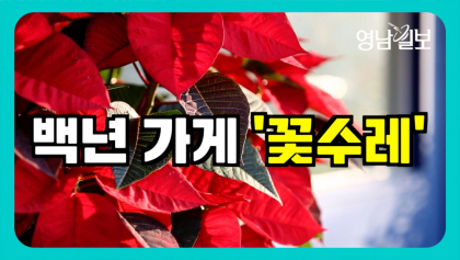 [백년가게] 플로리스트를 꿈꾸는 후배에게...'꽃수레 대표'가 전하는 말
