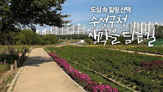[영상뉴스] 금호강 따라 걷는 자연 산책길 수성구청 생각을 담는 길 제1코스