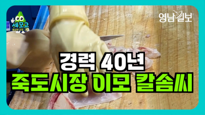 [영상뉴스-세상의 모든 고수] 경력 40년 죽도시장 이모의 칼솜씨