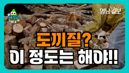 [영상뉴스-세상의 모든 고수]무상사 '마웅스님'.  도끼질? 이 정도는 해야....