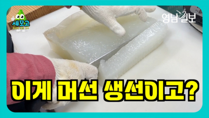 [영상뉴스]이게 생선?... 개복치 맛은 '탱글탱글'