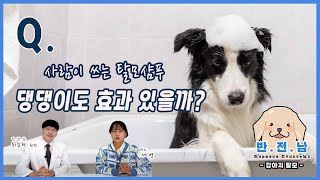 [반.전.남] 탈모샴푸 강아지에게도 효과가 있을까?