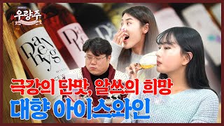 [우량주 EP2] 포도 열려 '극강의 단맛'…국내 생산되는 몇 안되는 '아이스 와인'