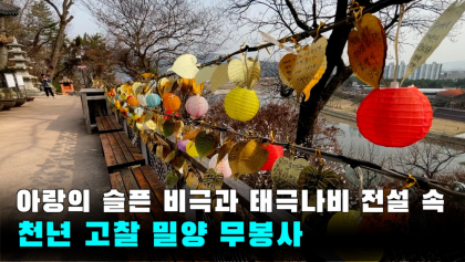 [영상 여행]' '전설의 고향' 속으로 ....'밀양 무봉사' 여행