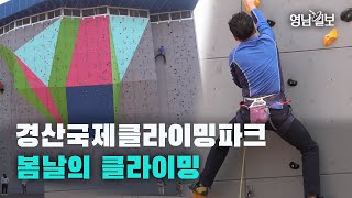 [영상뉴스]경산국제클라이밍파크…봄날의 클라이밍