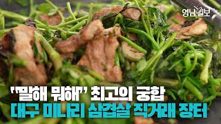 [영상스케치] 