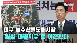 [영상뉴스] 대구 농수산물도매시장 '달성 하빈면 대평지구' 이전