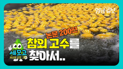 [세모고]논문만 200편,'참외 고수'를 찾아서...