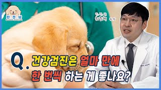 [반.전.남2] Q.강아지 건강검진은 얼마 만에 한 번씩 하는게 좋나요?| 영남일보