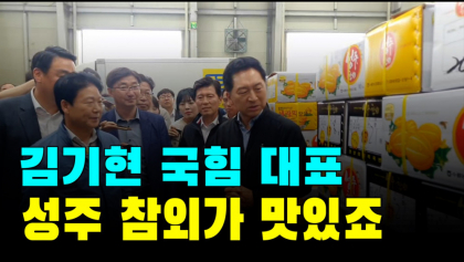 [영상뉴스]김기현 '성주 참외 400박스' 구매