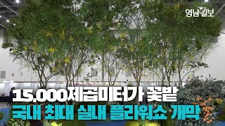 [영상뉴스] 이번 주말 꽃 구경하러 갈래요? 국내 최대 실내 플라워쇼 제14회 대구꽃박람회 개막