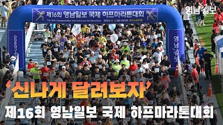 [영상뉴스] '신나게 달려보자' 제16회 영남일보 국제 하프마라톤대회 | 영남일보
