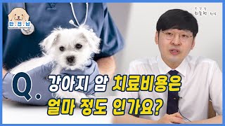 [반.전.남2] Q. 강아지 암 치료비용은 얼마 정도인가요?
