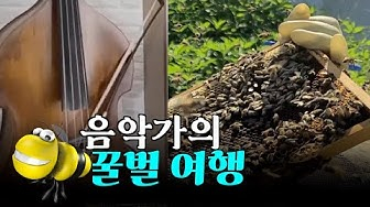 [영상뉴스] 음악가의 '꿀벌 여행'