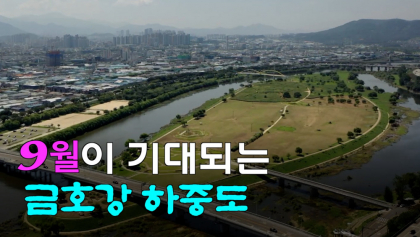 [영상뉴스] 9월이 기대되는, '금호강 하중도'