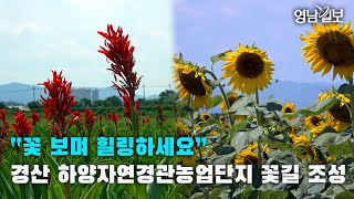 [영상스케치] 