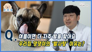 [반.전.남2] 