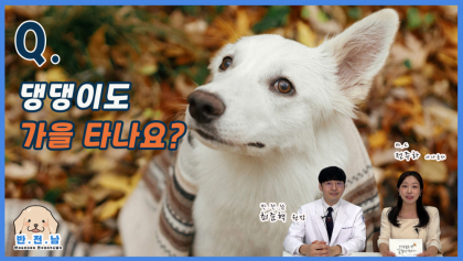 [반.전.남2] Q. 반려동물도 사람처럼 가을을 타나요?