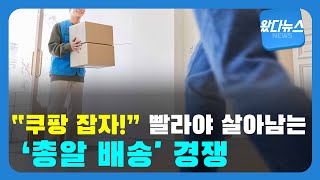 [왔다뉴스]“쿠팡 잡자!”…빨라야 살아남는 ‘총알 배송' 경쟁