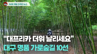 [시도때도없는뉴스 06.21] “대프리카 더위 날리세요”대구 명품 가로숲길 10선
