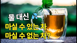 [영상뉴스] 물대신 마실 수 있는 차, 마실 수 없는 차?