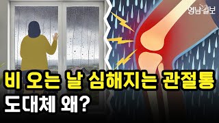 [영상뉴스] 비 오는 날 심해지는 관절통, 도대체 왜?