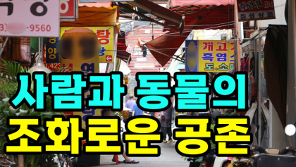 [영상뉴스] '개 식용' 종식되나?