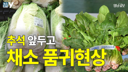 [뉴스와이] 추석 앞두고 가공식품까지 '가격 인상'