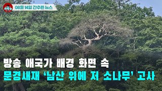 [시도때도없는 뉴스 08.14] 방송 애국가 배경 화면 속 문경새재 ‘남산 위에 저 소나무’ 고사