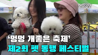 [영상뉴스]‘멍멍 개좋은 축제’…제2회 펫 동행 페스티벌