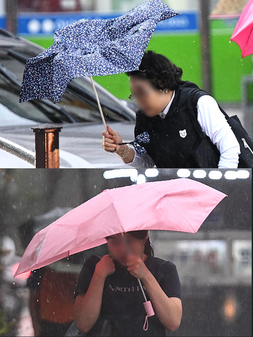 [내일 날씨] 18일 대구·경북, 오전엔 비 오후엔 강풍…낮 최고 20~24℃