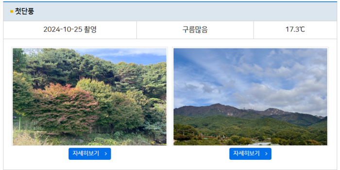 설악산 단풍 29일에 ‘절정’ 도달, 역대급 지각…팔공산은?