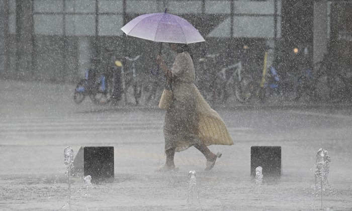 [내일 날씨] 1일 대구·경북, 오전부터 비오고 짙은 안개…낮 최고 15~19℃